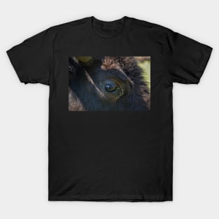 Eye to Eye T-Shirt